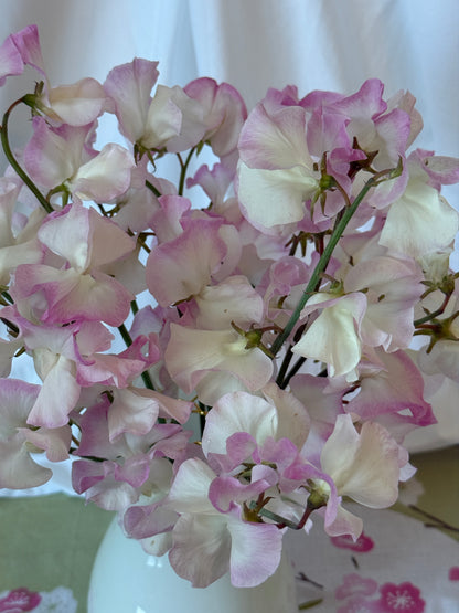 Sweet Pea Seeds: Takeda