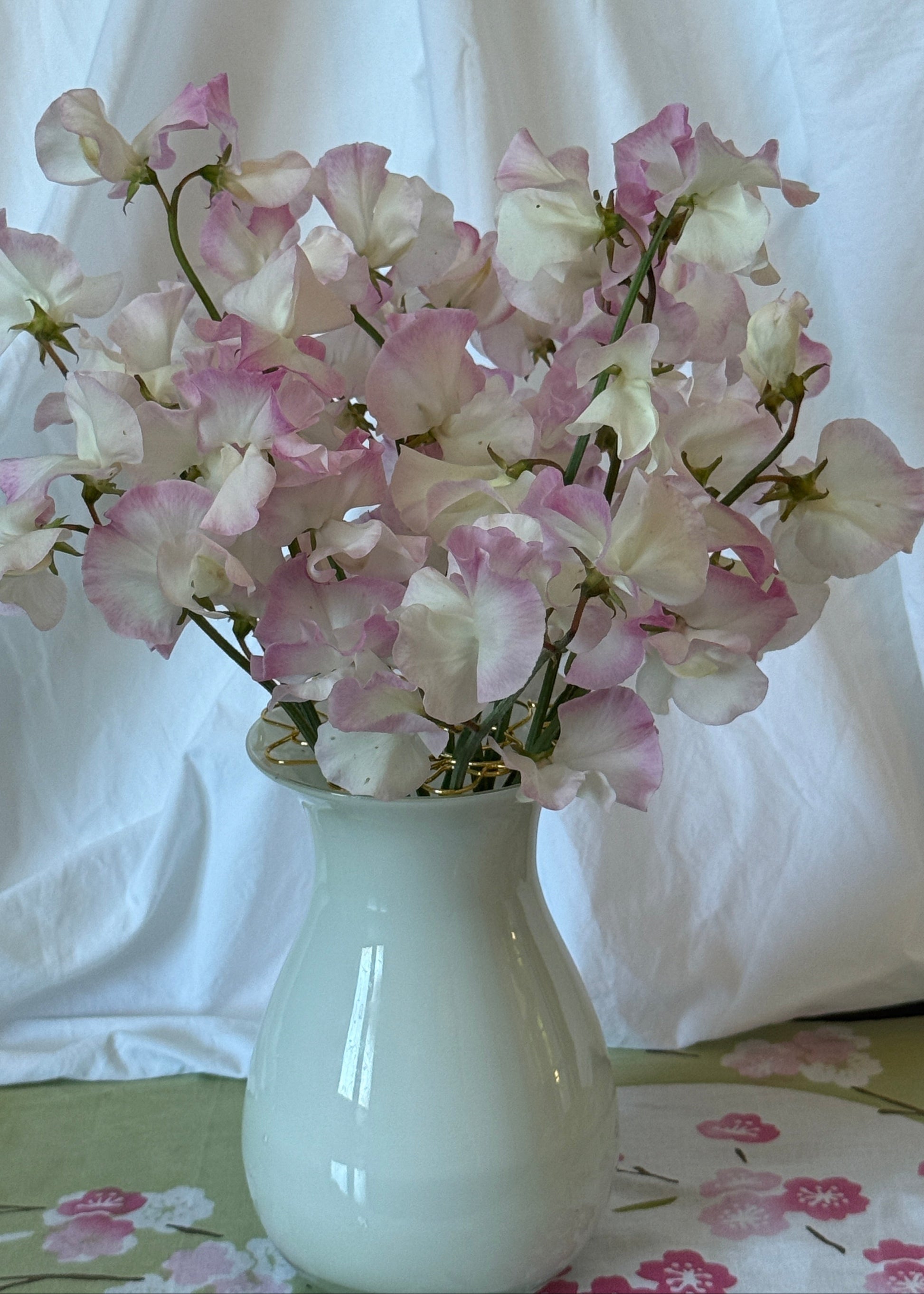 Sweet Pea Seeds: Takeda - Sugar Moon Gardens