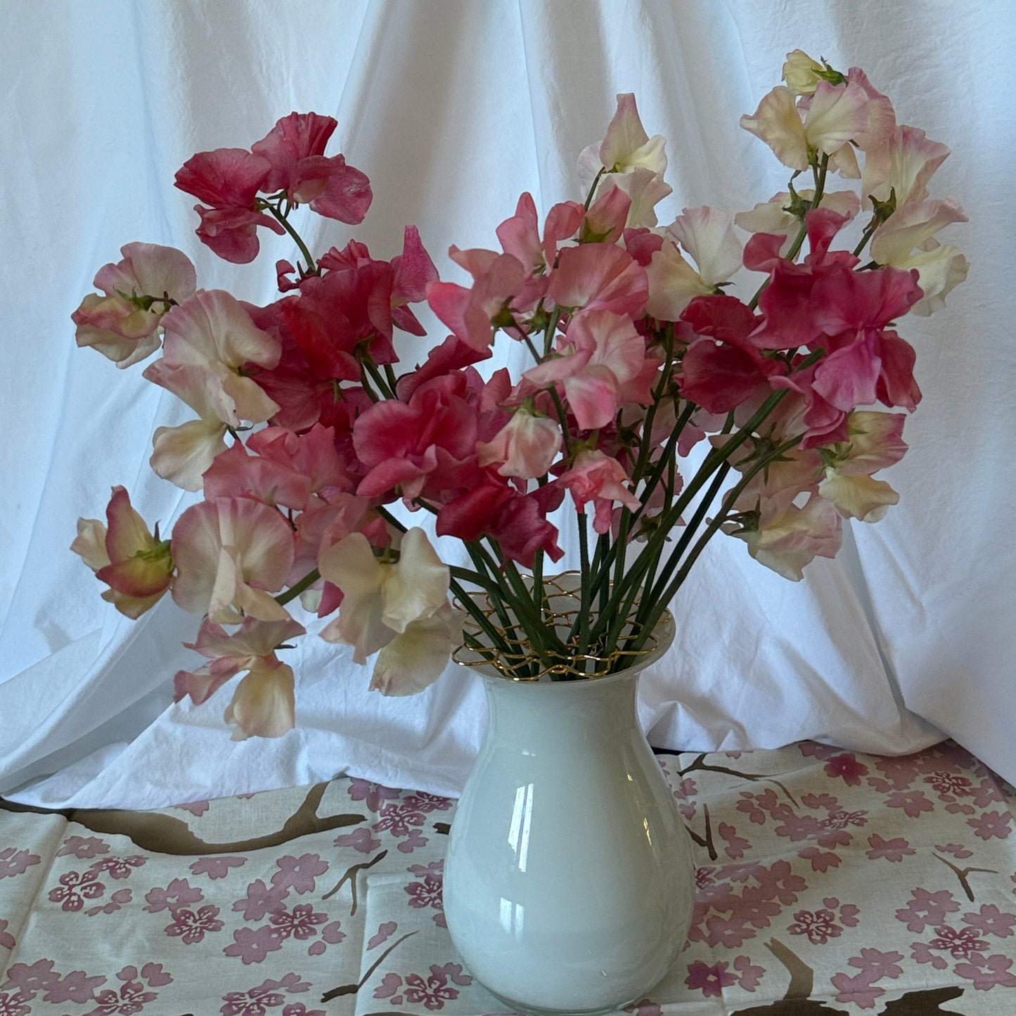 Tall Strawberries & Cream TRIO - Sugar Moon Gardens