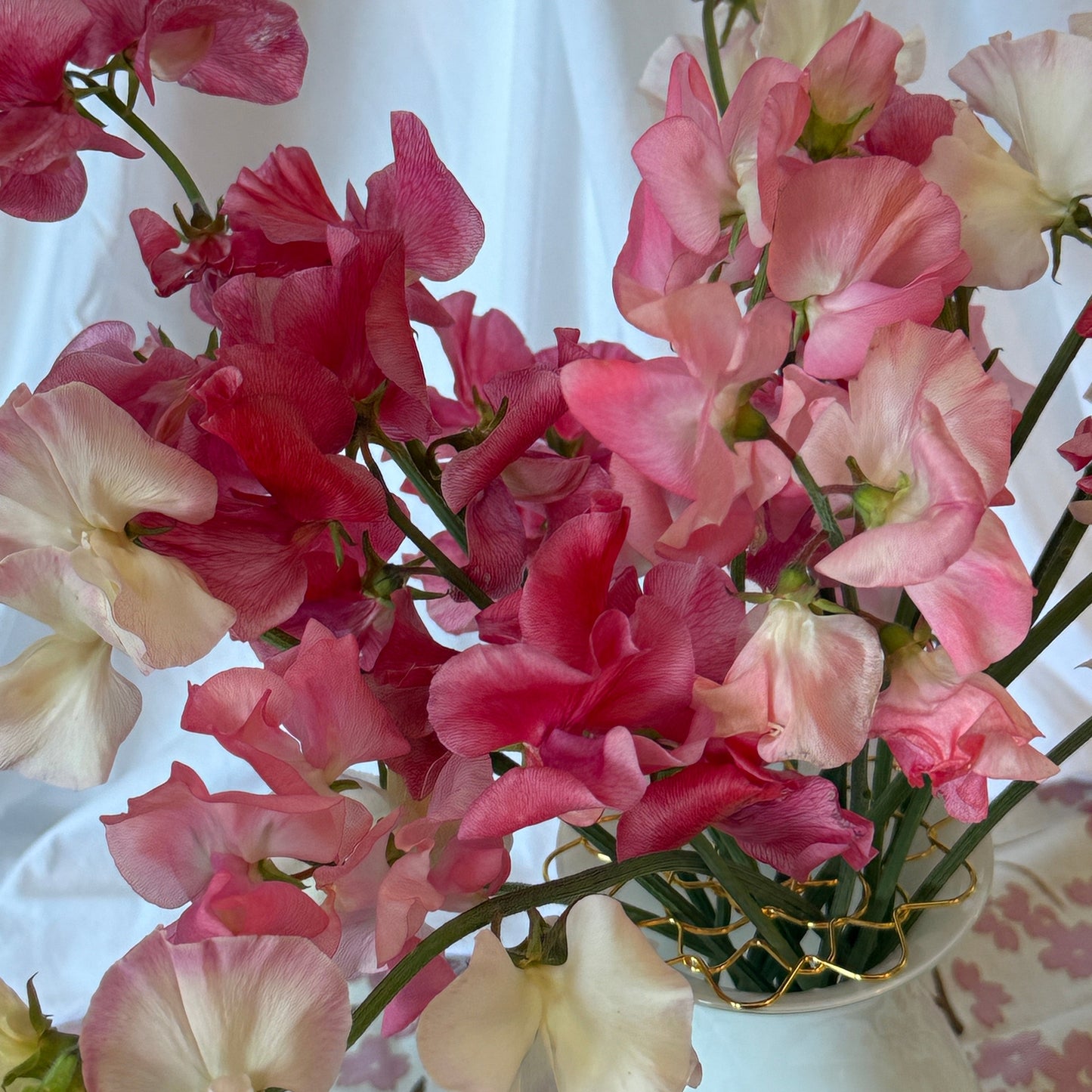 Tall Strawberries & Cream TRIO - Sugar Moon Gardens
