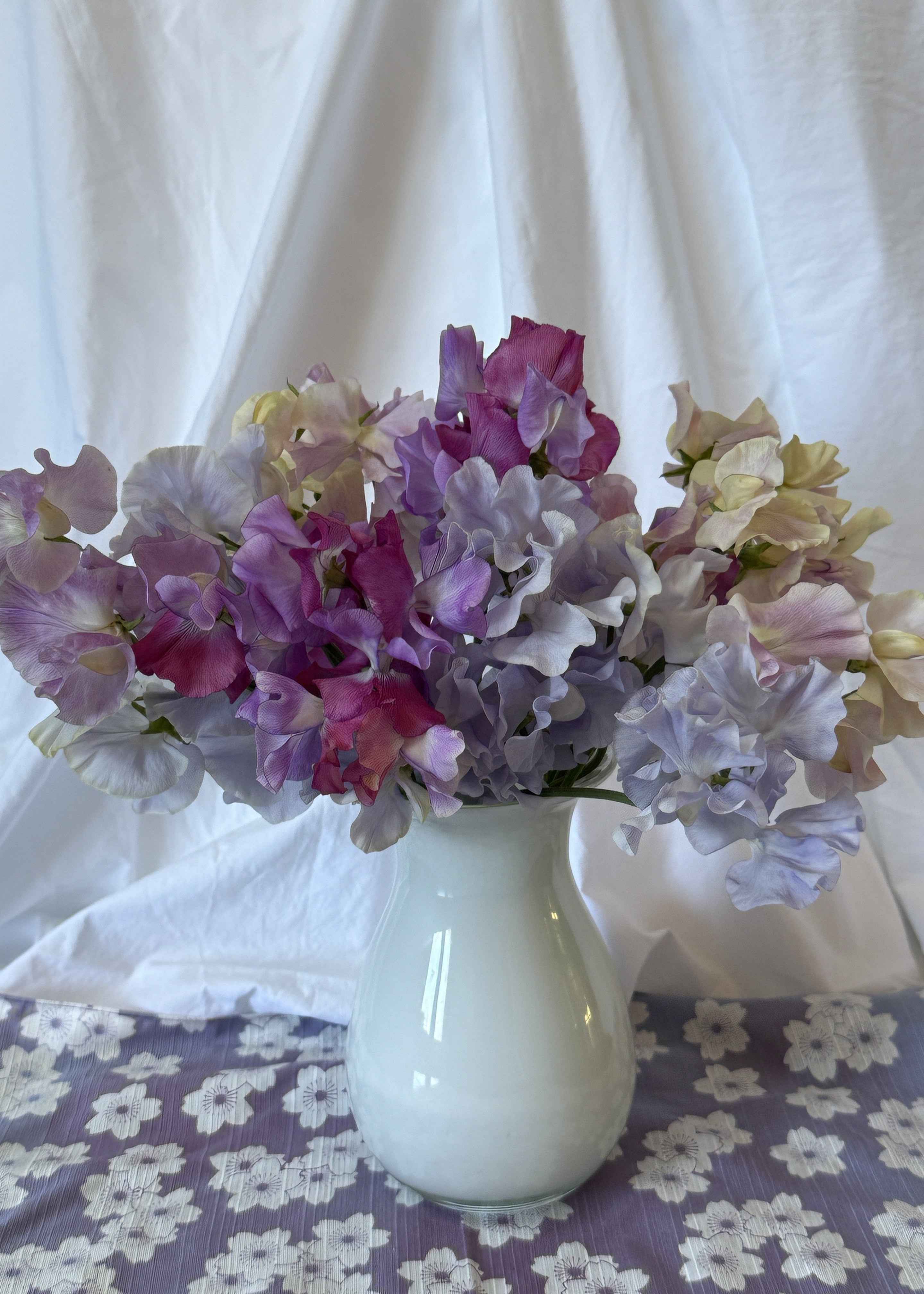 Sweet Pea Seeds: Twilight Mist - LIMIT 1