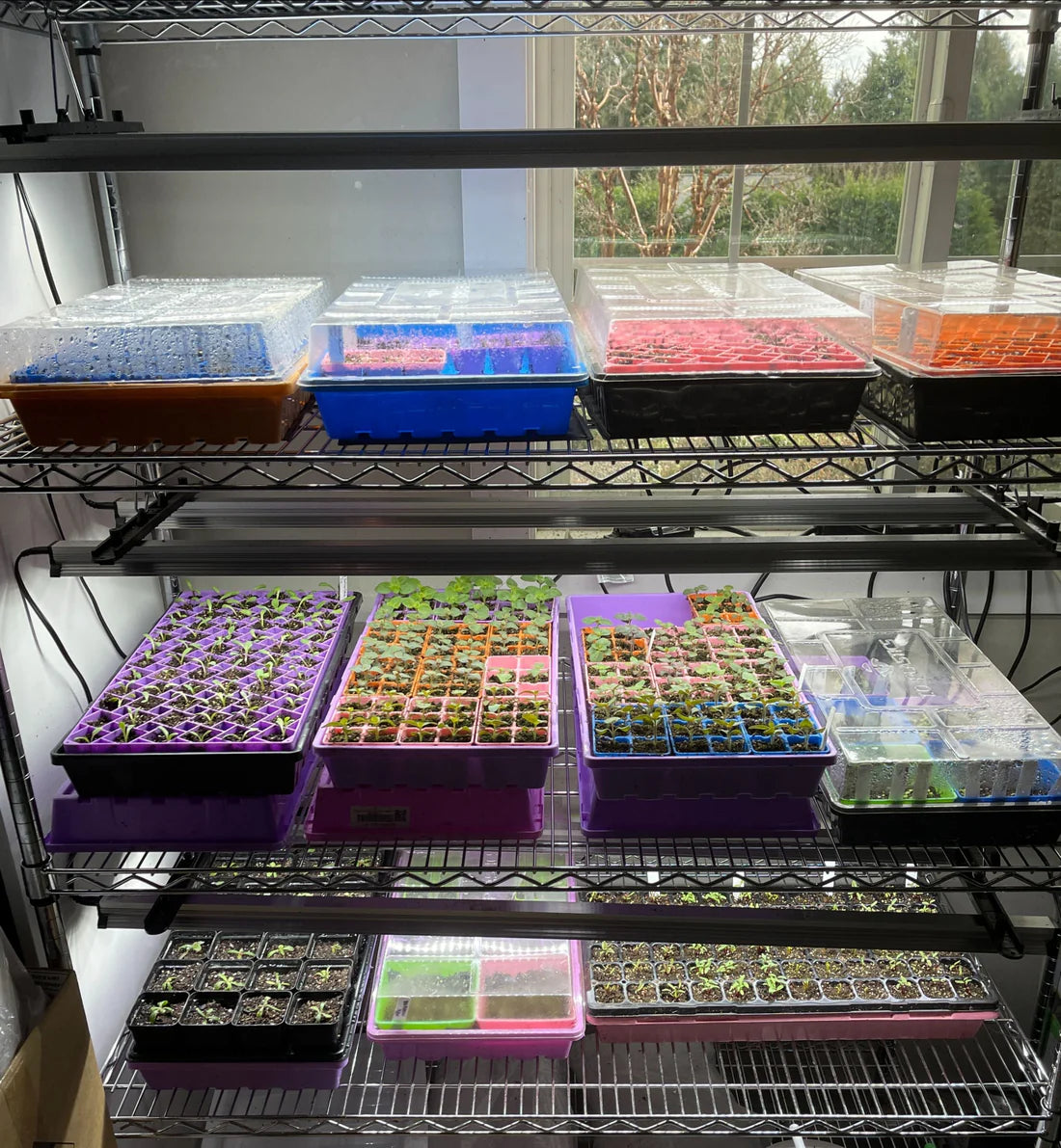 Sunblaster Prism LED Grow Lights